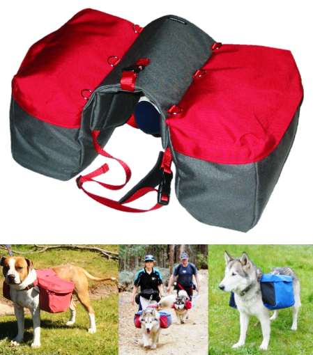 Hiking with dogs