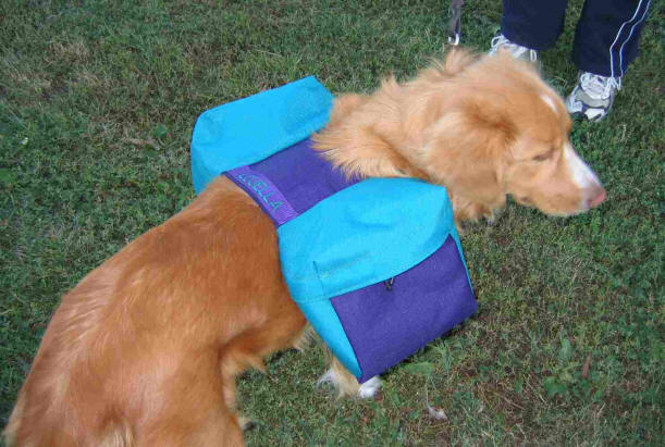 Basic Backpack