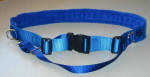 Walking belt