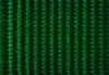 25 mm webbing - Emerald Green